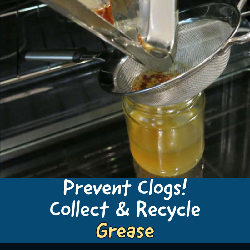 Prevent Clogs! Collect & Recycle Grease