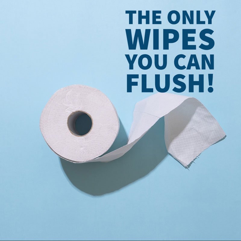 The Only Wipes You Can Flush!